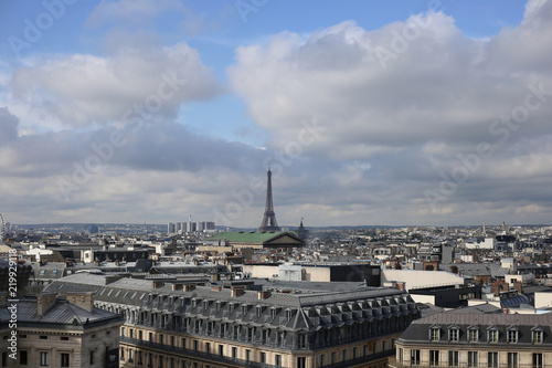 Paris city view with Eiffel tower © Oksana