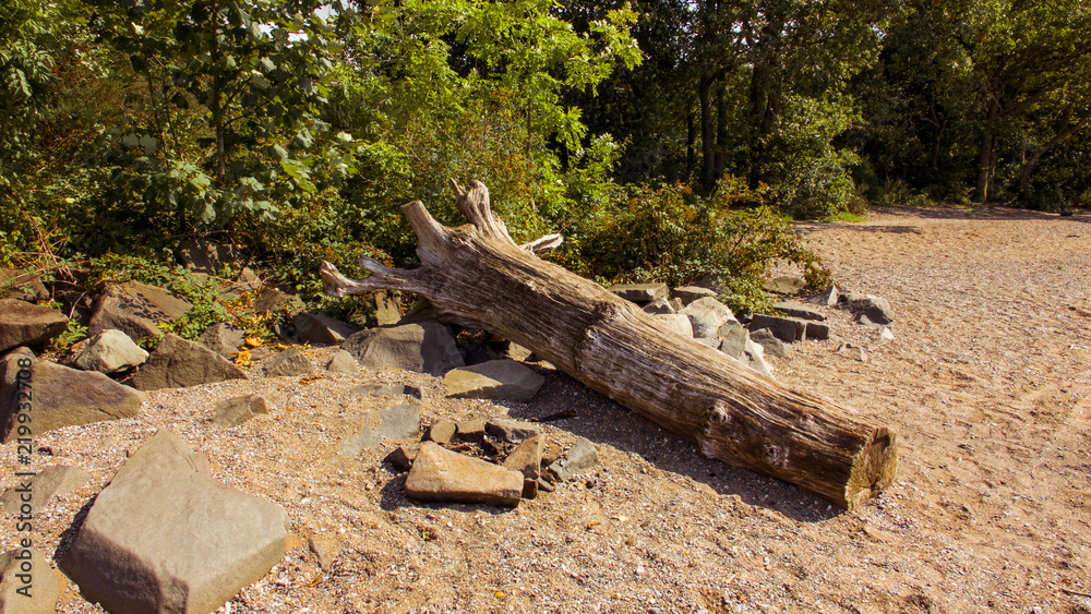 A driftwood tree trunk on large stones on a gravel surface with woodland behind.