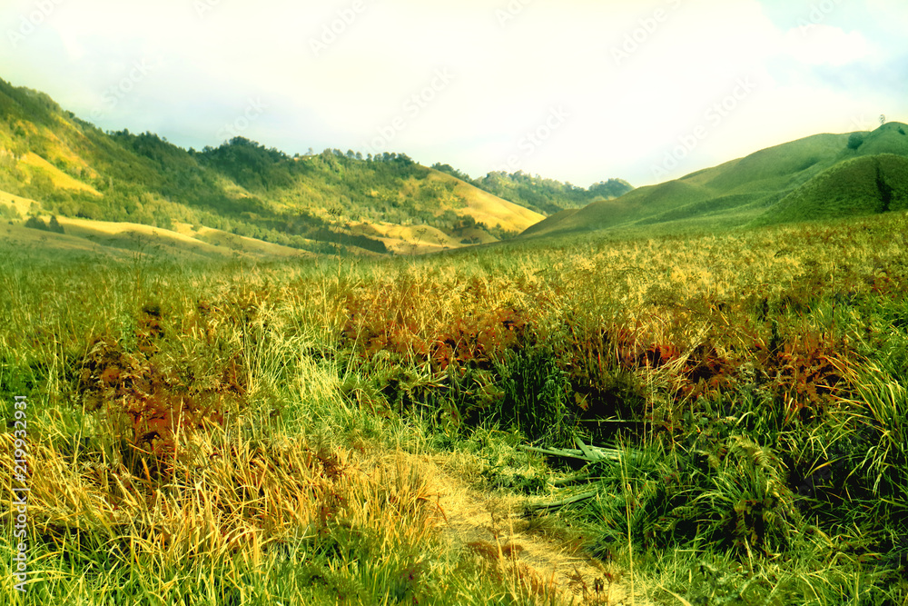 Beauty Landscape of Bromo