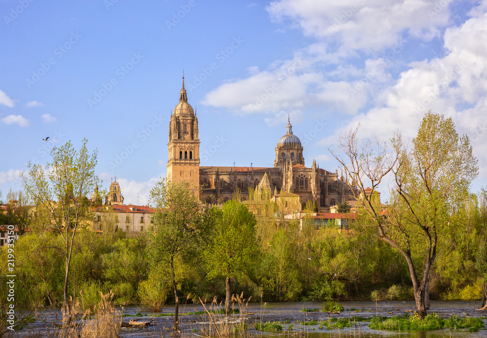 View on the New Cathedral from the bank of the Tormes River on a sunny spring day, Salamanca, Castile and Leon, Spain. View on the New Cathedral from the bank of the Tormes River on a sunny spring day, Salamanca, Castile and Leon, Spain.