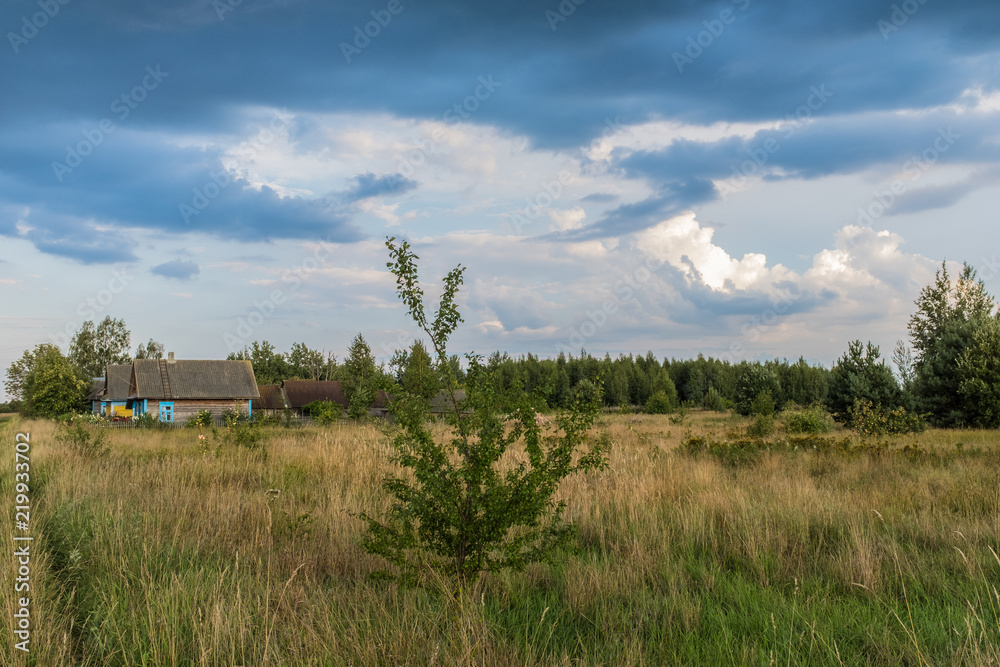 countryside in Belarus. Summer landscape countryside in Belarus. Summer landscape