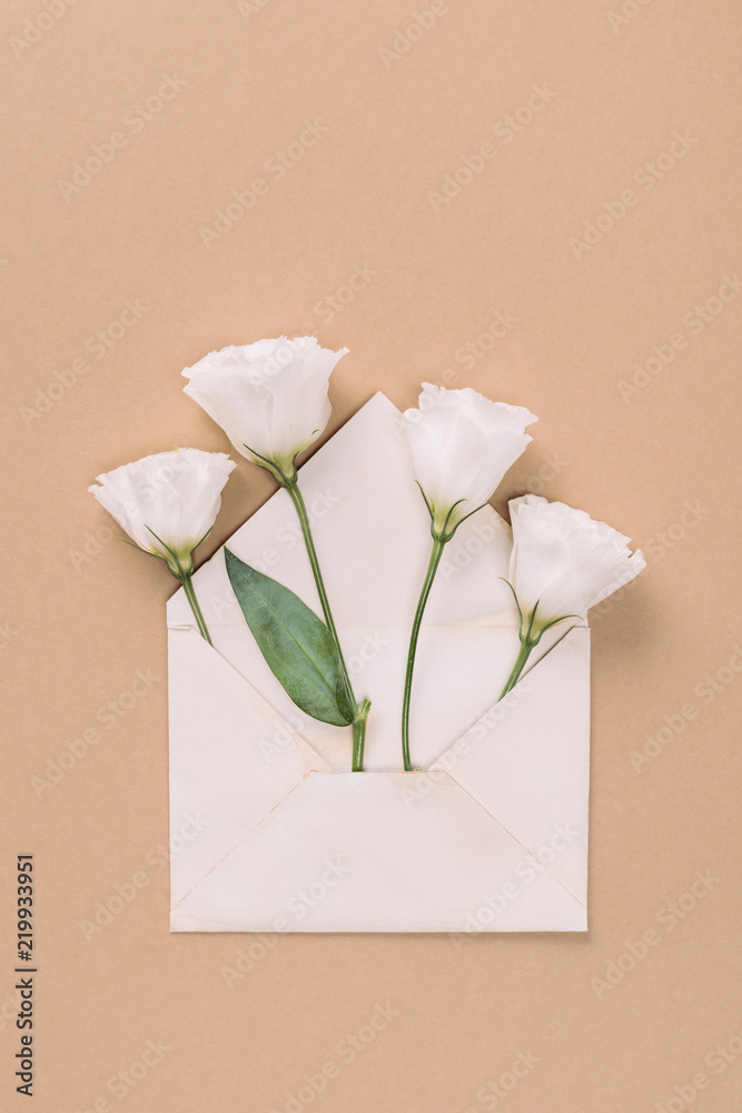 Fototapeta premium Top view of white eustoma flowers in envelope on beige background