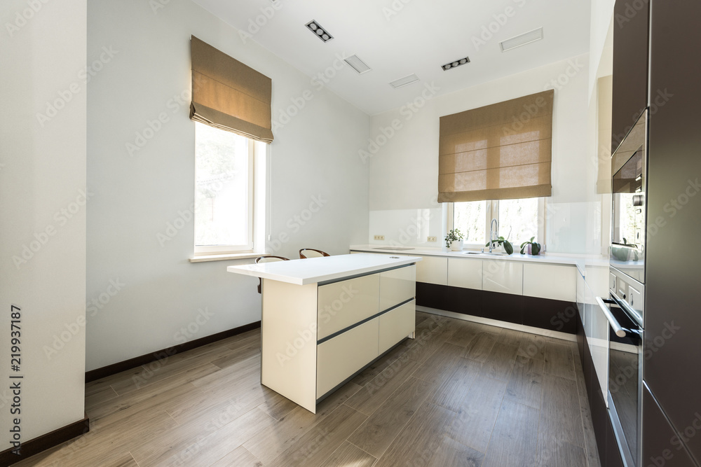interior view of empty modern kitchen with furniture in light colors