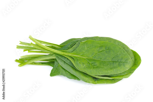 Bunch of green spinach