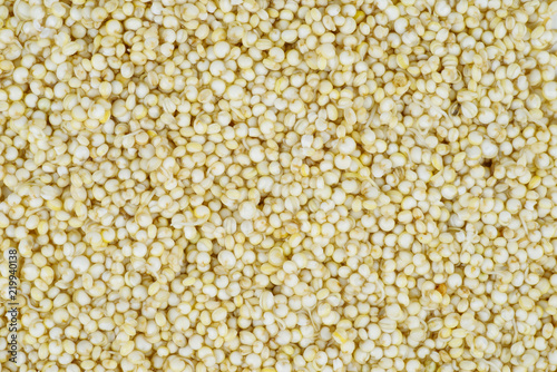 Germinated quinoa seeds