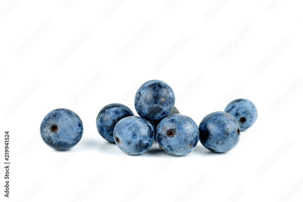 Blackthorn berries Blackthorn berries
