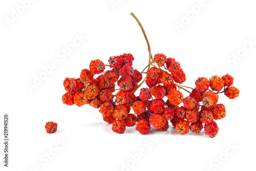 Фотография Dried rowan berries isolated on white background