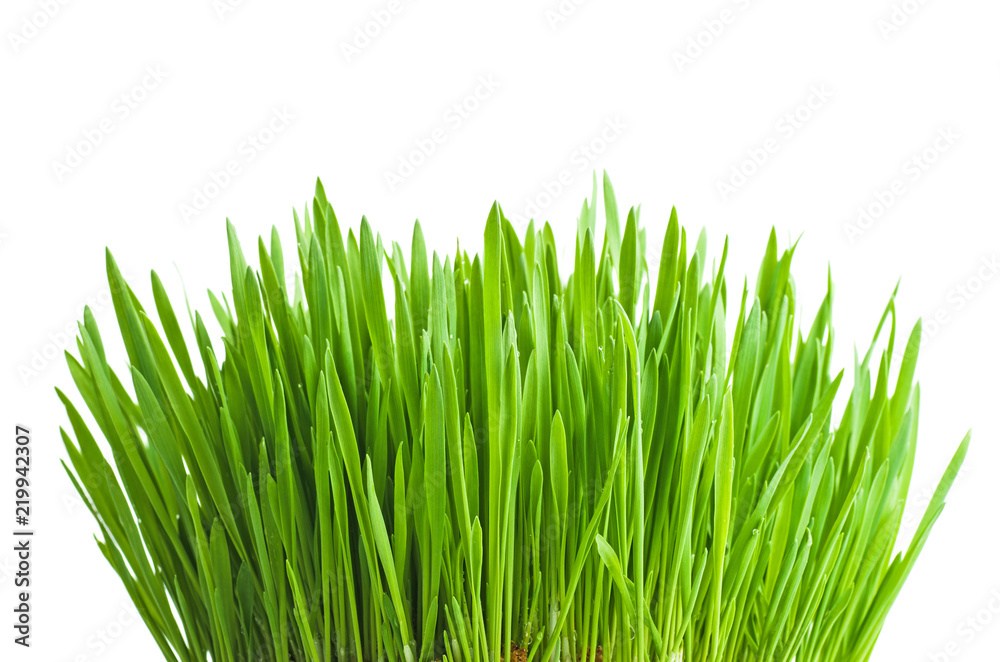 Green grass Green grass