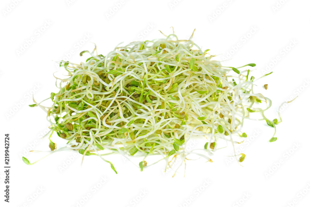 Fenugreek sprouts isolated on white background Fenugreek sprouts isolated on white background