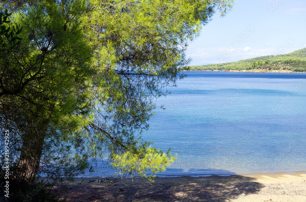 Amazing scenery by the sea in Sithonia, Chalkidiki, Greece Amazing scenery by the sea in Sithonia, Chalkidiki, Greece