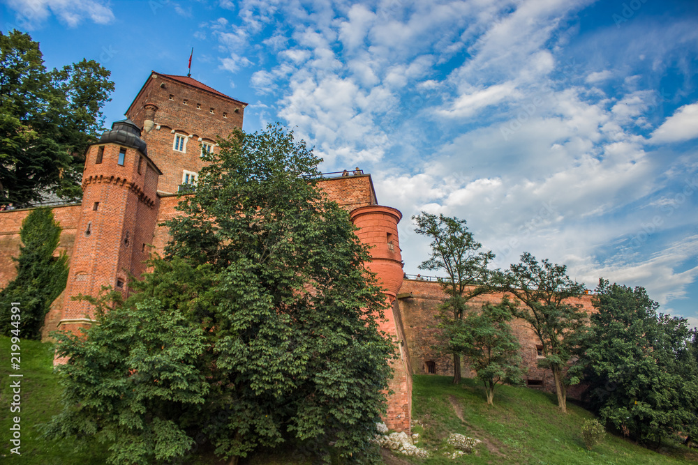 medieval classic brick castle facade tower from below with green trees outdoor park environment on blue contrast sky background