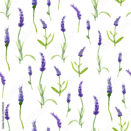 Botany illustration Lavender flowers in a watercolor style on white background. Seamless watercolor pattern. Could be used for textile or in design