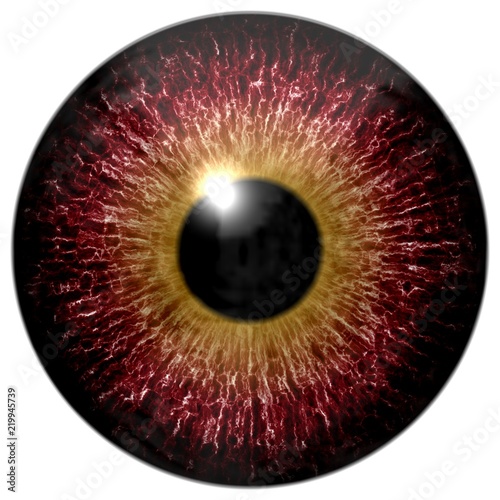 Animal eyeball 3d texture isolated white background, yellow round and black pulpil