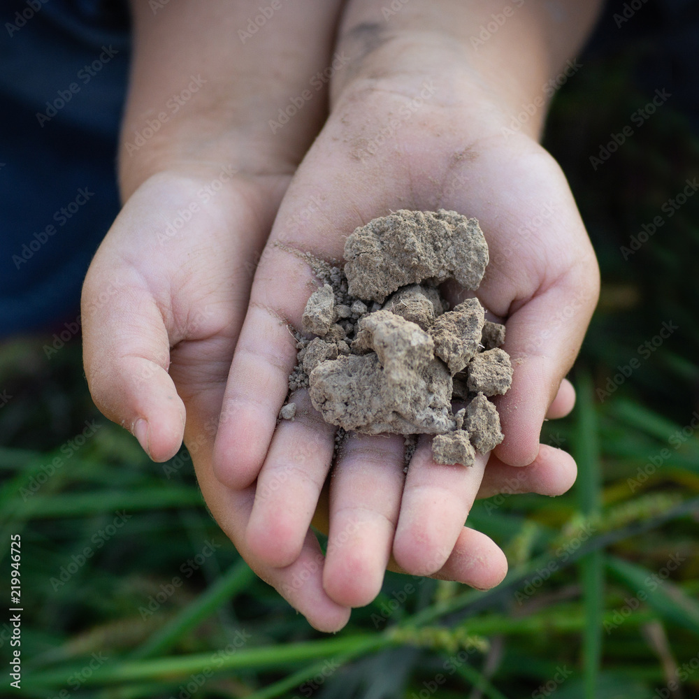 Soil in hand kid, palm, cultivated dirt, earth, ground, Organic gardening, agriculture. Nature closeup. Environmental texture