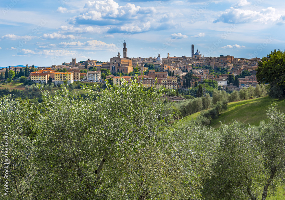 Cityscape, Siena, Tuscany, Italy