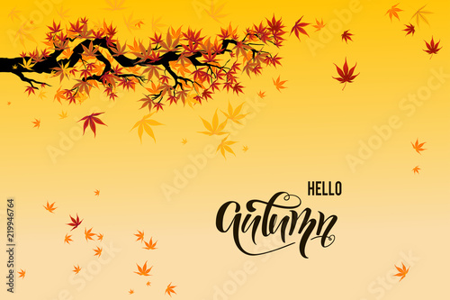 Yellow fall leaves © paprika