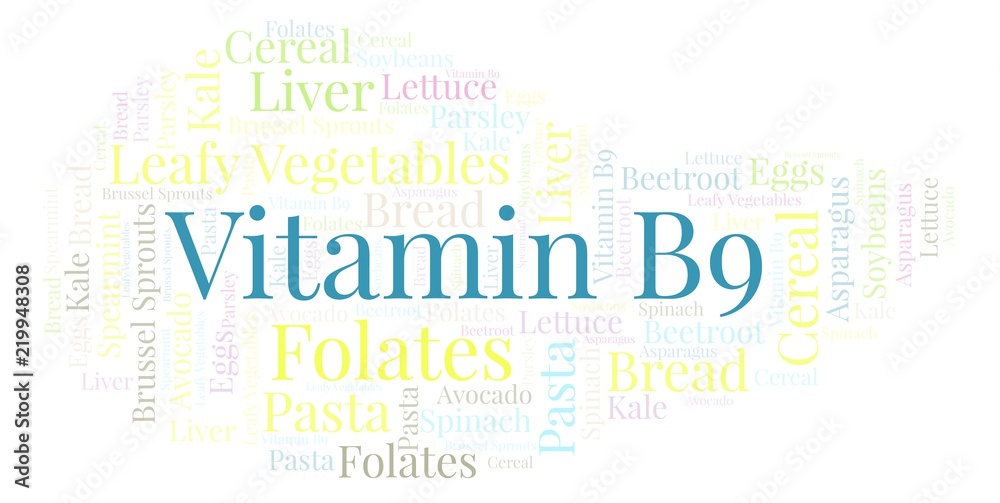 Obraz premium Vitamin B9 word cloud.