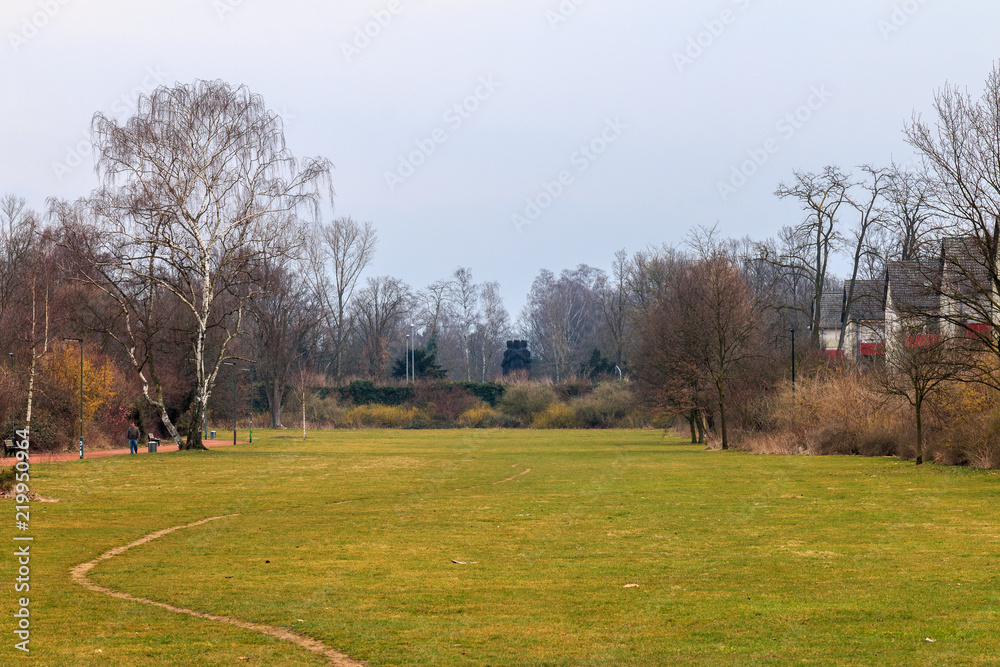 Field in park