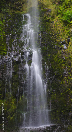 Waterfall among rocks. Madeira Island  Portugal  Europe. Long exposure photo.