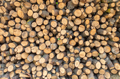 firewood stacked circular shape, close-up background