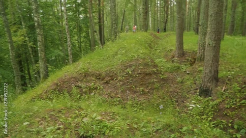 German trenches covered with green grass and trees in Russian forest after more than 70 years after world war second photo