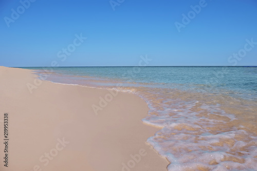 Fototapeta Naklejka Na Ścianę i Meble -  Beautiful view of sandy beach on sunny summer day