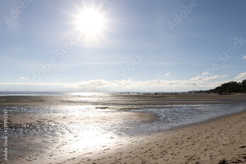 Plage du bassin d arcachon   face au soleil