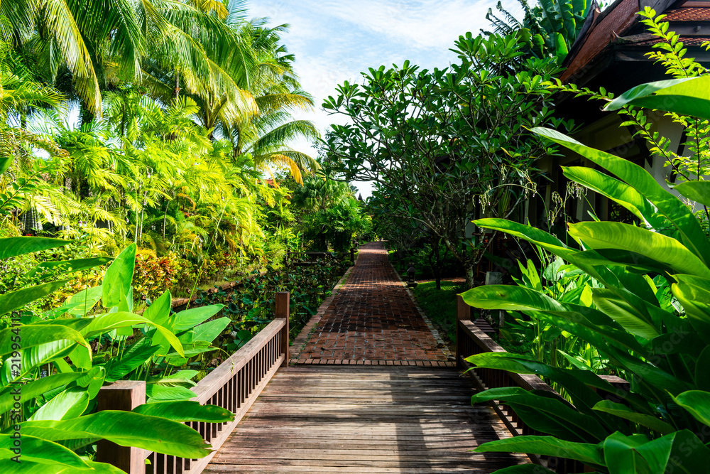 A path with bright tropical green plants and leaves on the side of the path A path with bright tropical green plants and leaves on the side of the path
