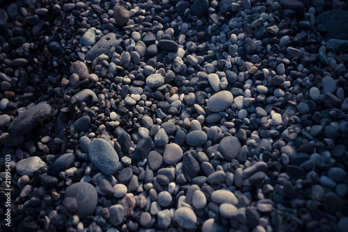 the texture of sea rocks
