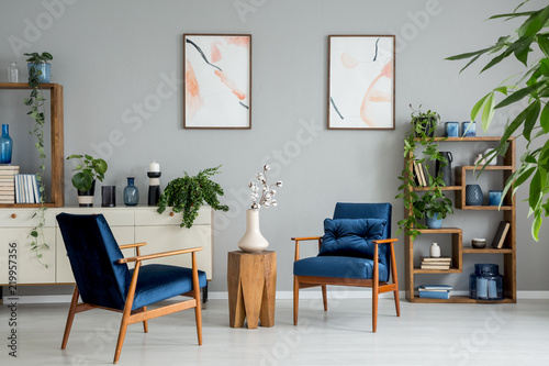 Posters and plants in bright living room interior with navy blue armchairs and flowers. Real photo