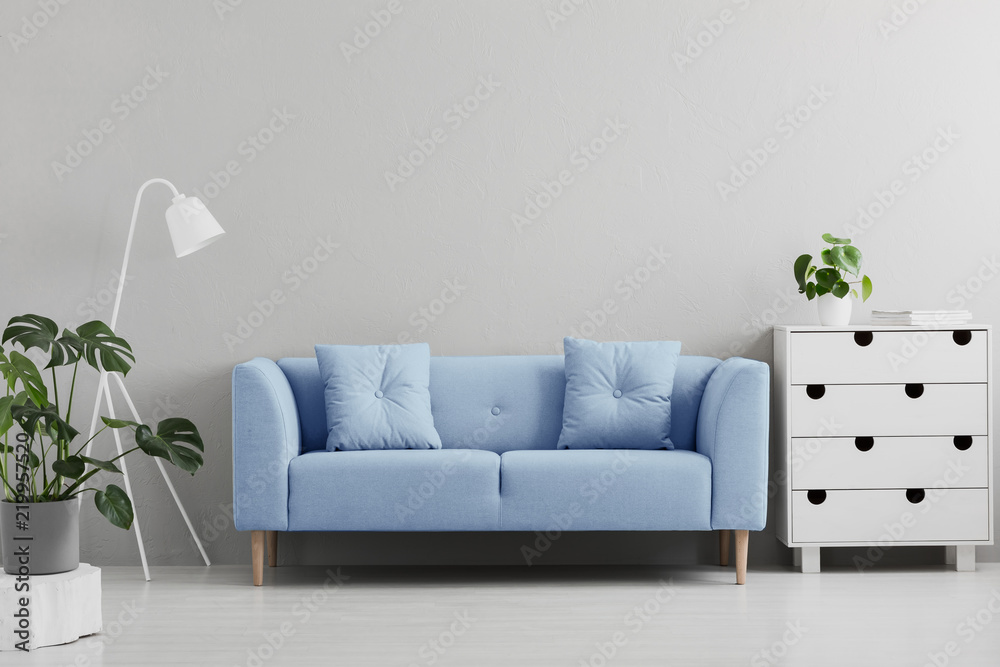 Blue sofa between white lamp and cabinet in grey living room interior with plants. Real photo Blue sofa between white lamp and cabinet in grey living room interior with plants. Real photo
