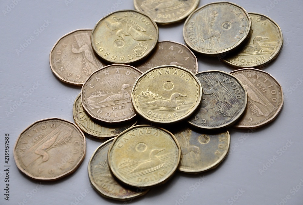 Canada loonies in the table Canada loonies in the table