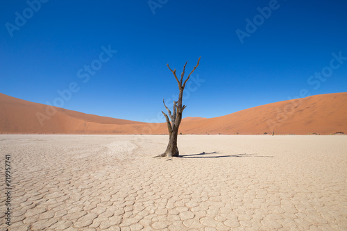 landscape of africa in the sunset