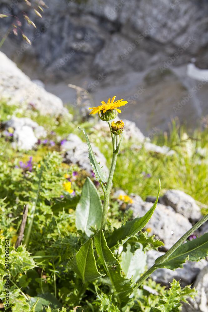 Fototapeta premium Karwendel Mittenwald