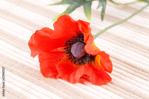Fototapeta Naklejka Na Ścianę i Meble -  Red poppy