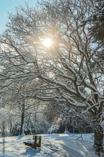 Winter im Kurpark Bad Laasphe photo