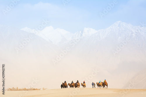 Tourists on camel in sand dunes Nubra Valley, Ladakh, India,This is the famous camel riding activities for tourists photo