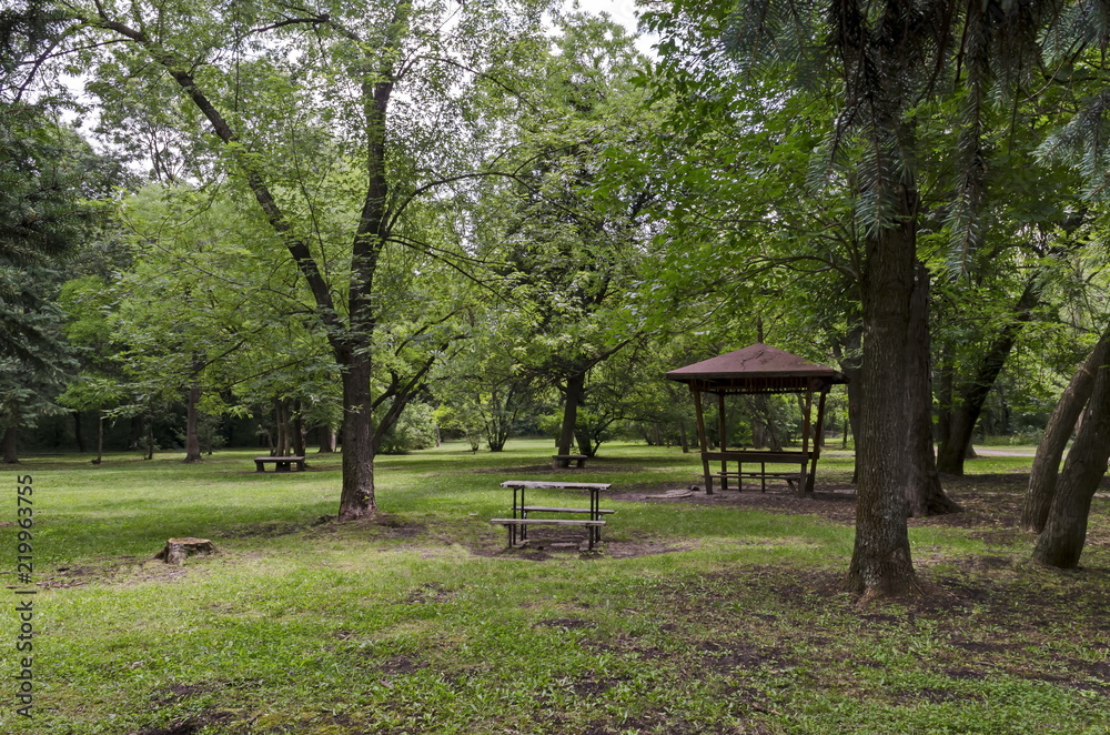 Wooden bench, alcove and table on a meadow in the forest at natural old West park, Sofia, Bulgaria Wooden bench, alcove and table on a meadow in the forest at natural old West park, Sofia, Bulgaria