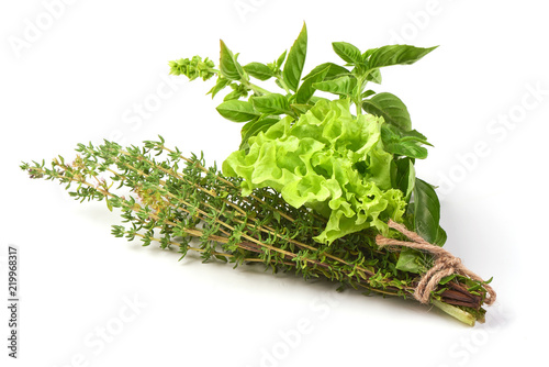 Fresh spices and herbs bouquet, isolated on white background. Dill, lettuce, thyme, sage. Isolated on white background. photo