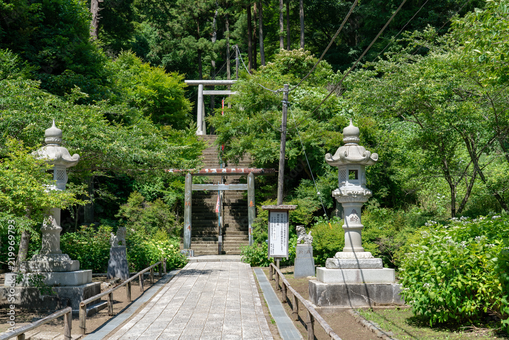Torii and Toro at Kencho-ji, Kamakura,  Kanagawa, Japan 鎌倉 建長寺の鳥居と灯篭