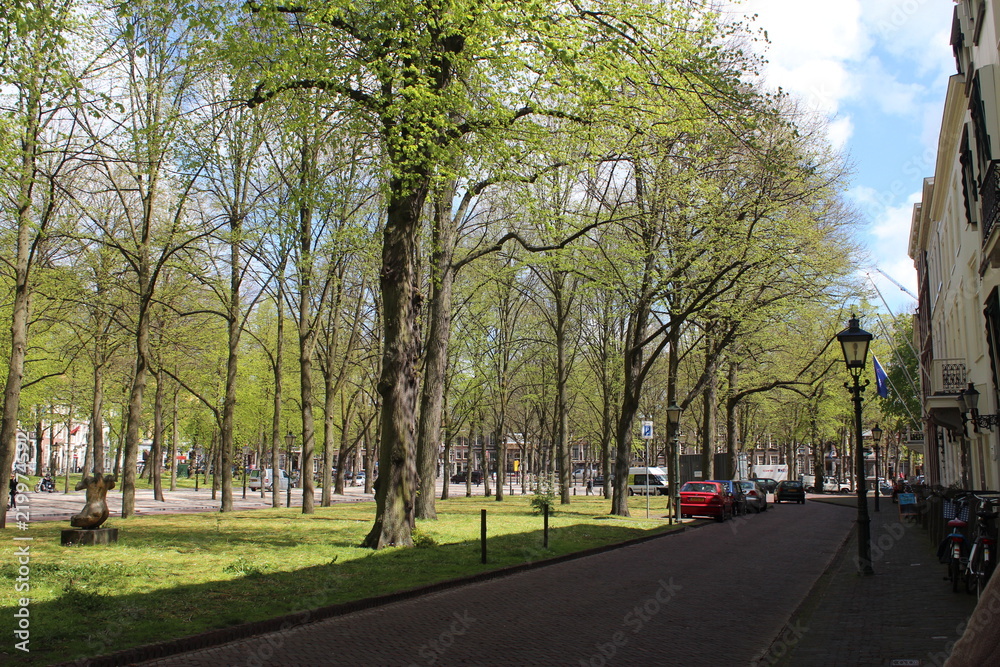 Netherlands city ​​park