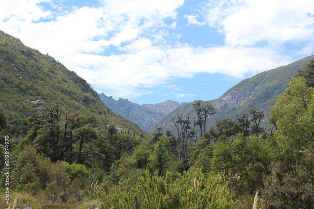 montaña huemul