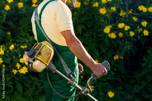 Bilde på lerret Lawn mower in the hands of the gardener. Mow the grass