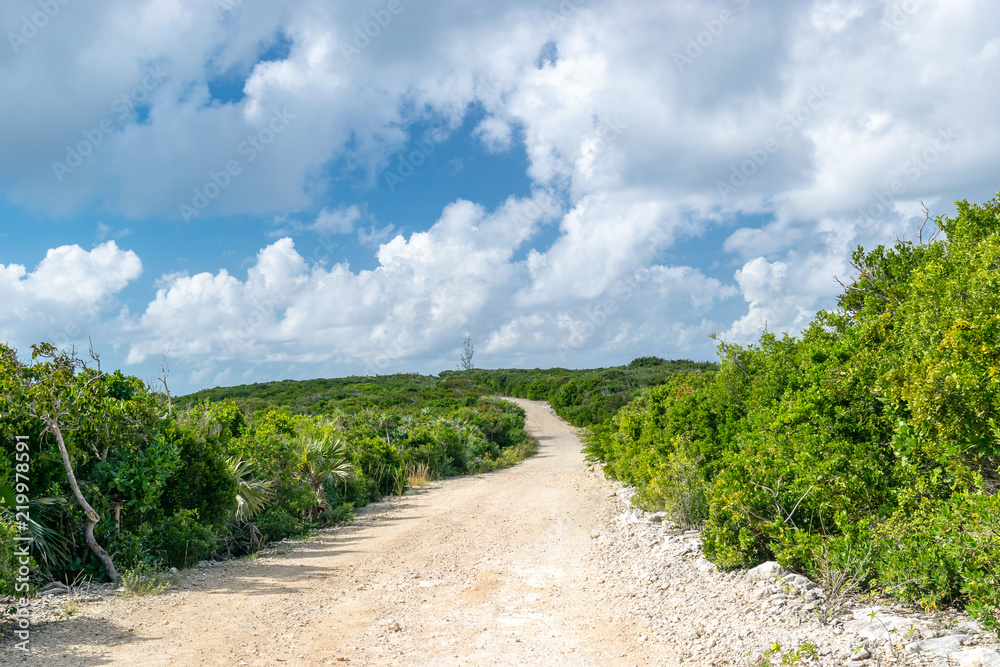 Countryside landscape in the Bahamas. Concept. Road less traveled.