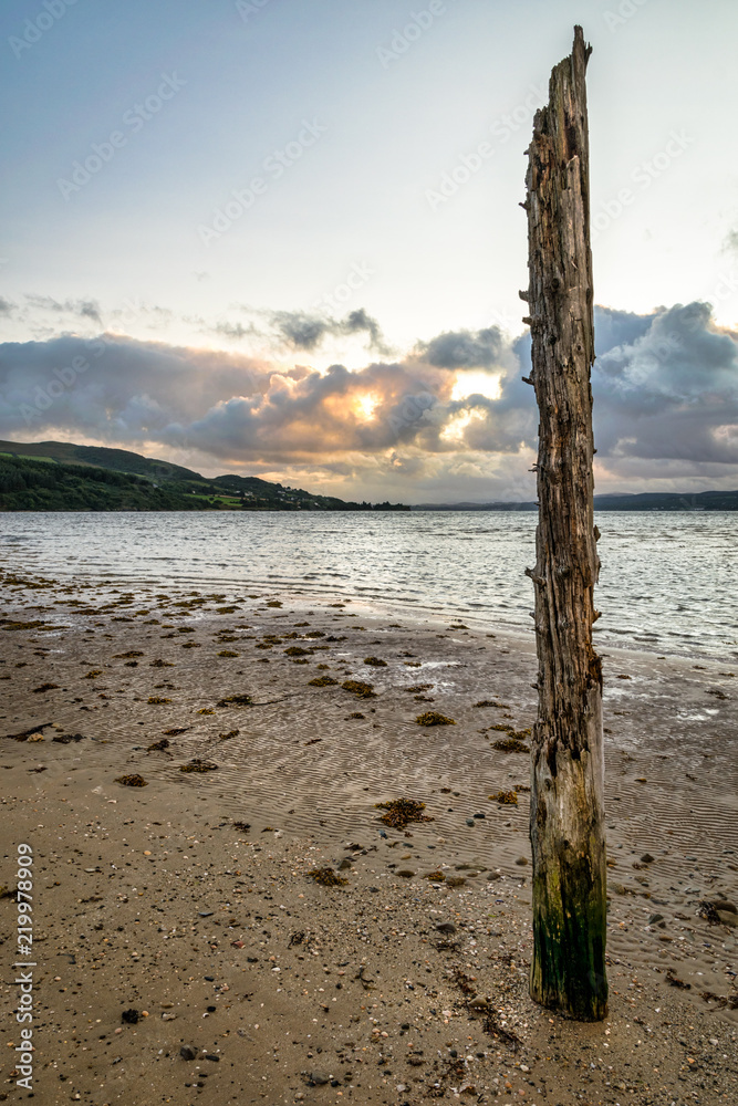 Old Wooden Post at Low tide