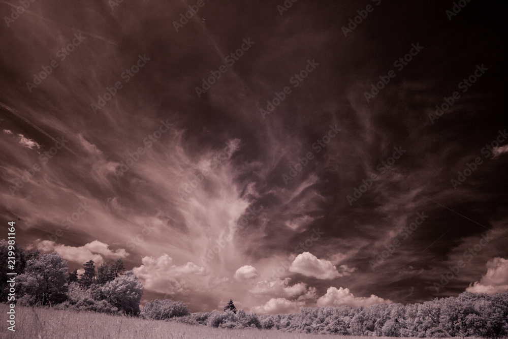 Fototapeta premium Landschaft in Infrarot (unbearbeitet)