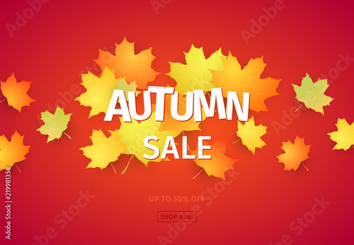Autumn sale banner