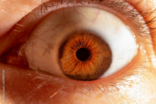 Wide open brown eye of a male person