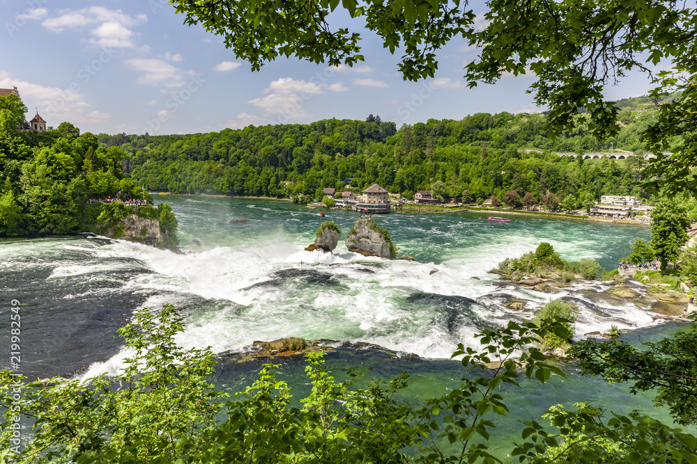 Fototapeta premium Rheinfall