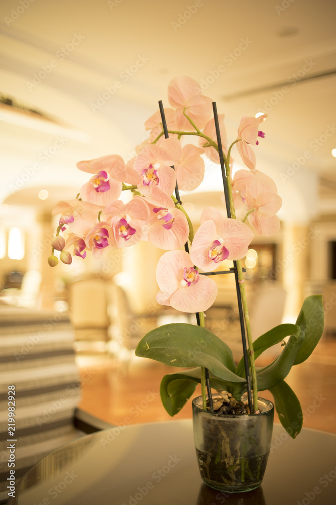 Fototapeta premium Flowers in hotel wedding